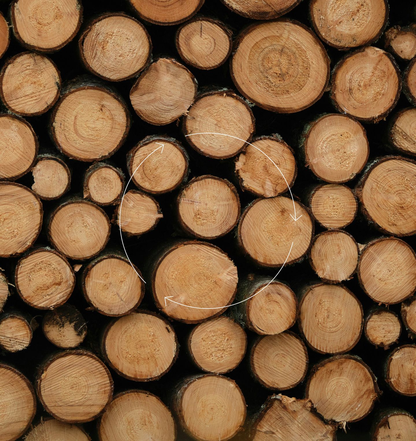 a pile of logs